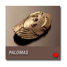 PALOMAS